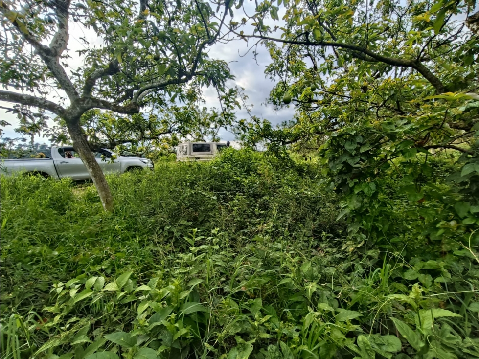 Se Vende Finca En Puerto Espejo - Armenia - Quindío. — foto 6