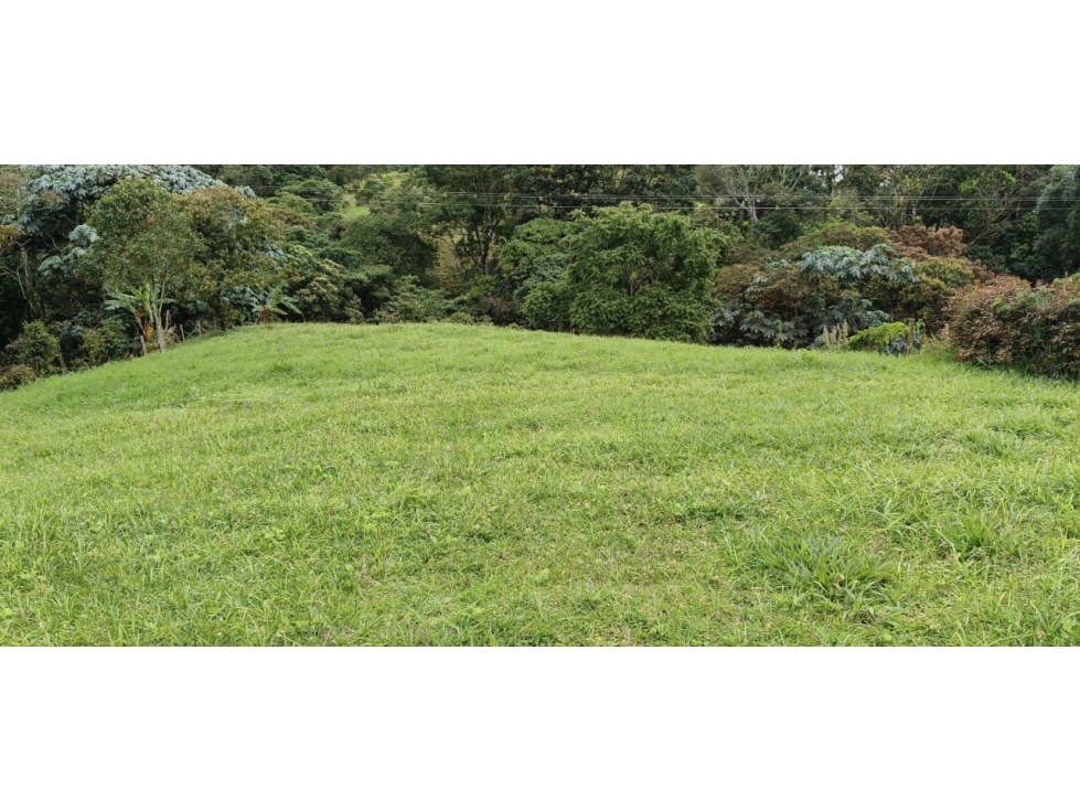 Se vende Lote Ubicado En Salento - Quindío - 5