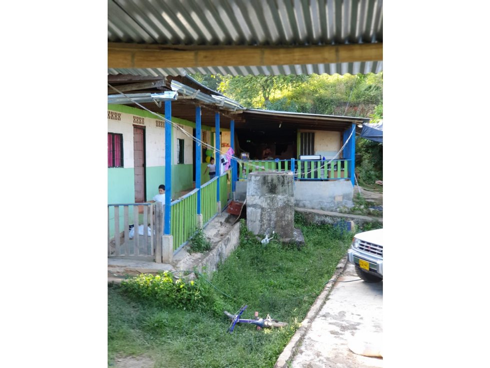 Se vende Finca en Ibagué Tolima - 3