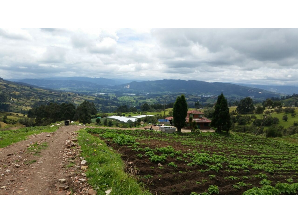 Se Vende Finca De 20 Cuadras En Cundinamarca - 3