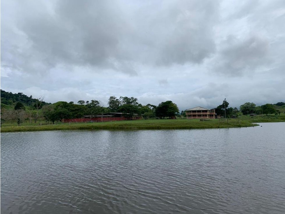Se Vende Finca Ganadera En Puerto Boyaca - 2