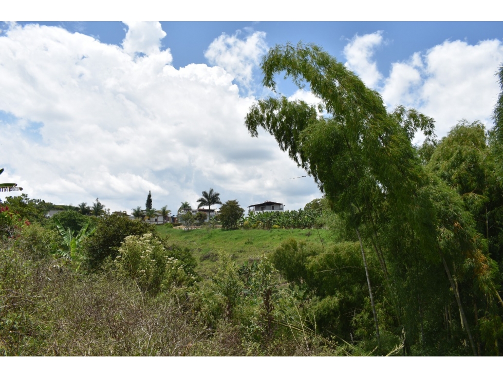 Se vende Lote en Quimbaya Quindío - 3