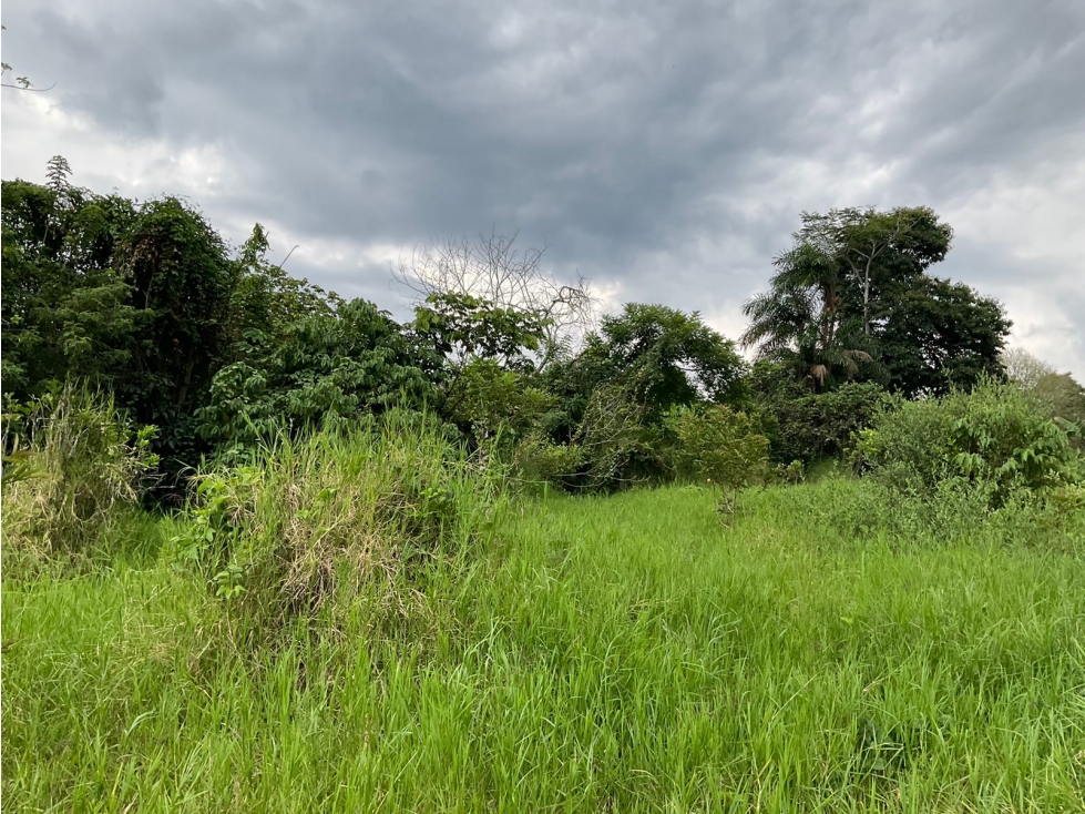Se vende Lote en La Y de Calarcá - Armenia Quindío - 3