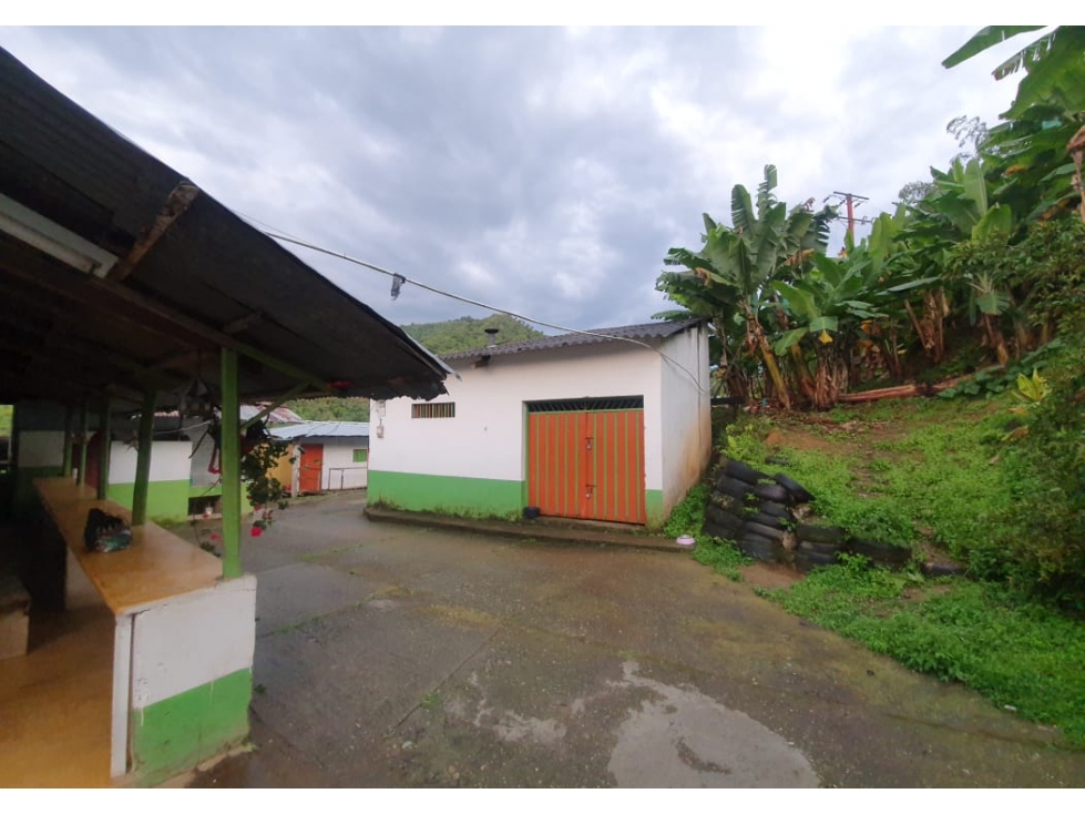 Se vende Finca Córdoba Quindío - 3