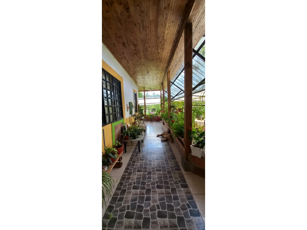 Se vende Finca Circasia Quindío — foto 5