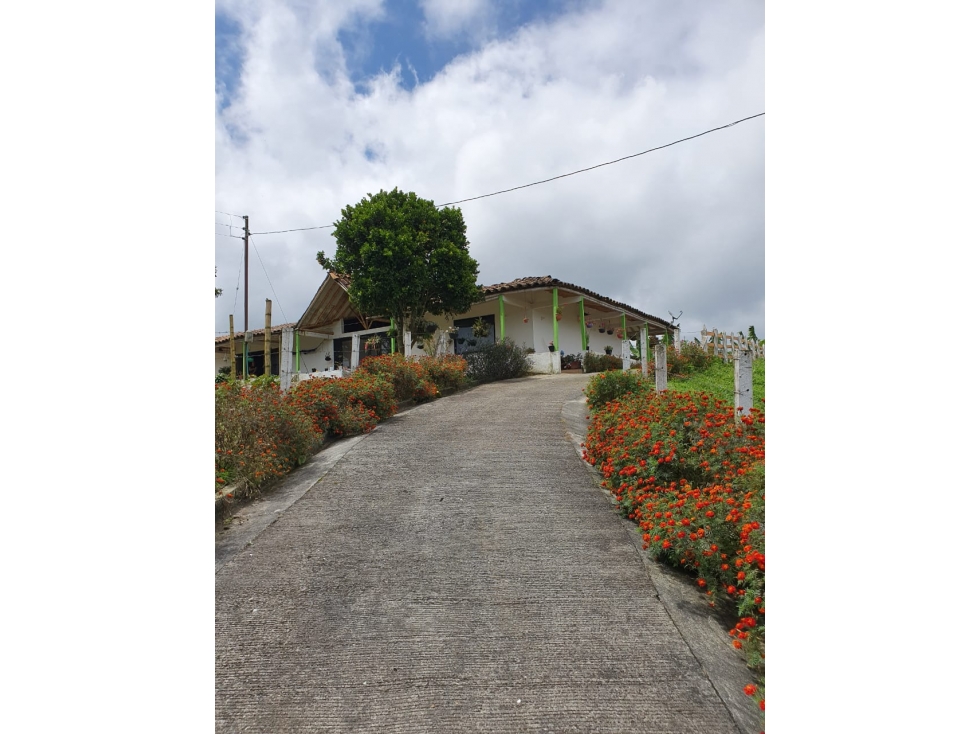Se vende Finca Circasia Quindío - 1