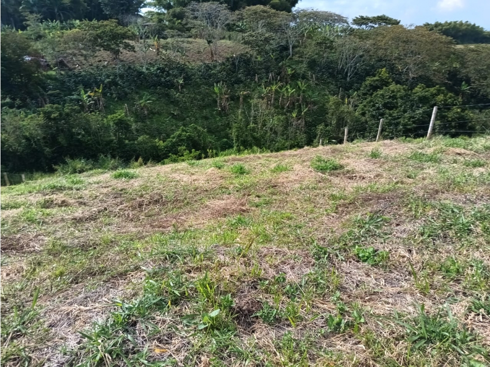 Se vende Lote C.C Alcalá Valle del Cauca — foto 3