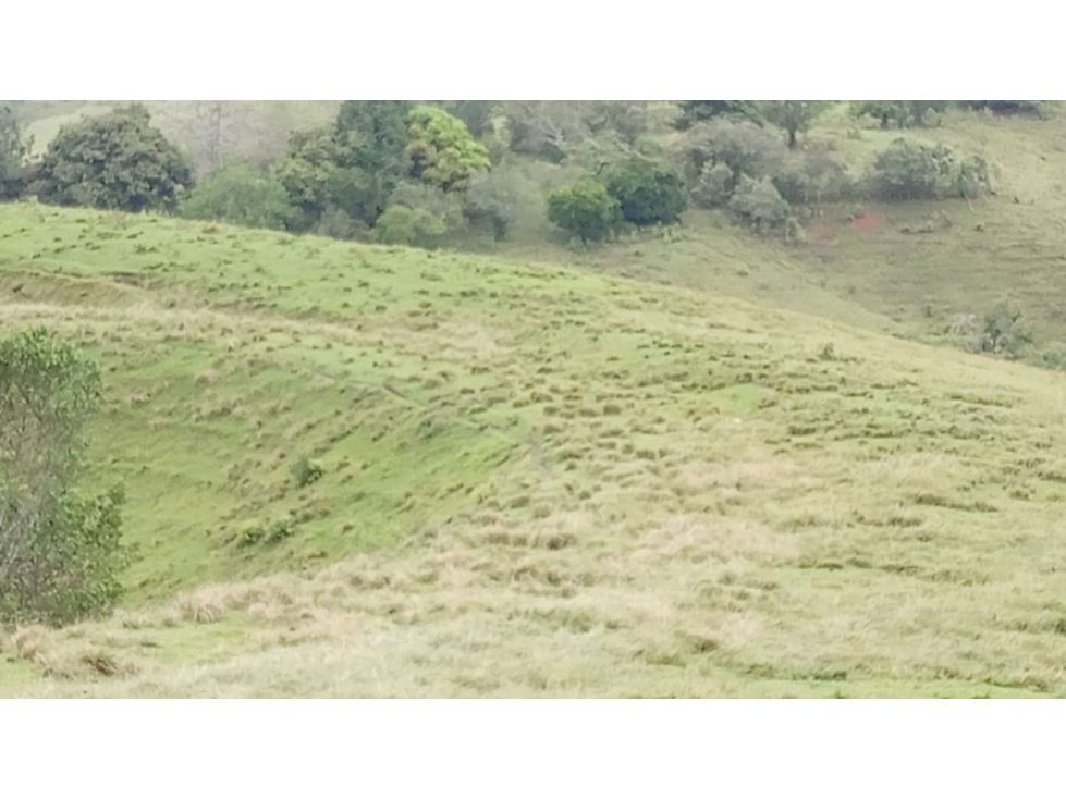 Se vende Finca Trujillo - Valle del Cauca - 3
