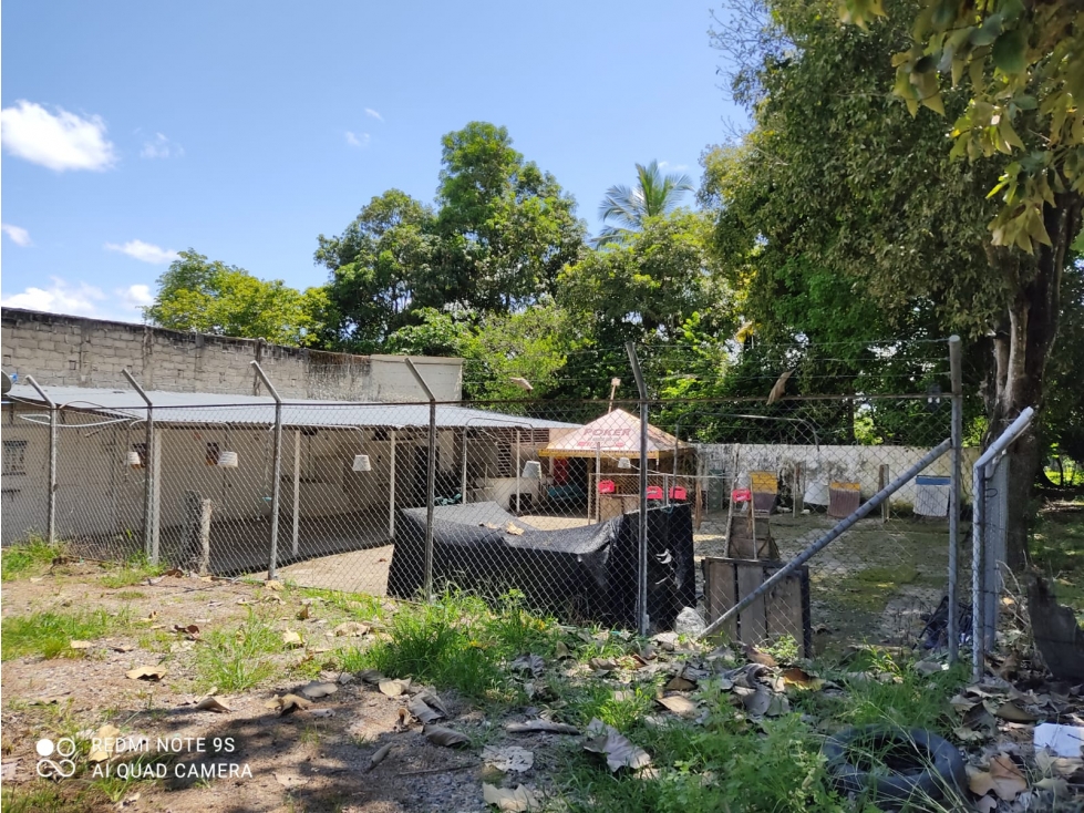 Se Vende Casa Lote En Purificación - Tolima — foto 3