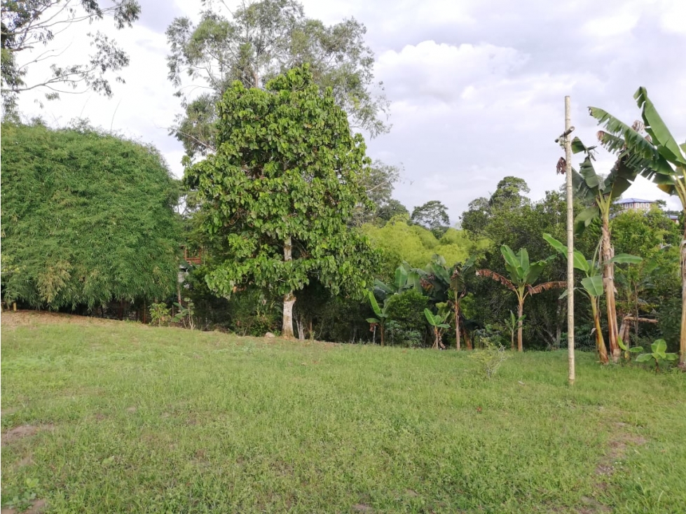 Se vende Lote Montenegro - Pueblo Tapao Quindío — foto 6