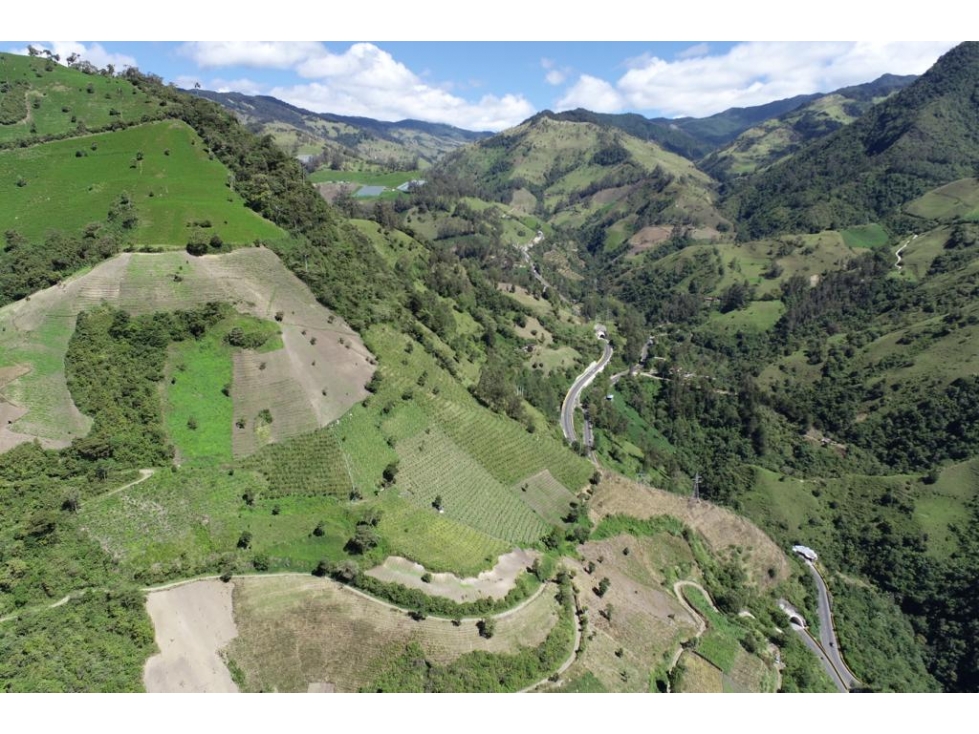 Se vende Finca Cajamarca Tolima - 2
