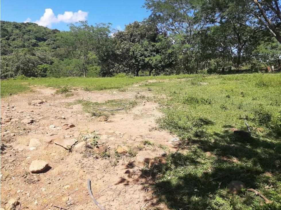 Se vende Finca Prado Tolima - 6