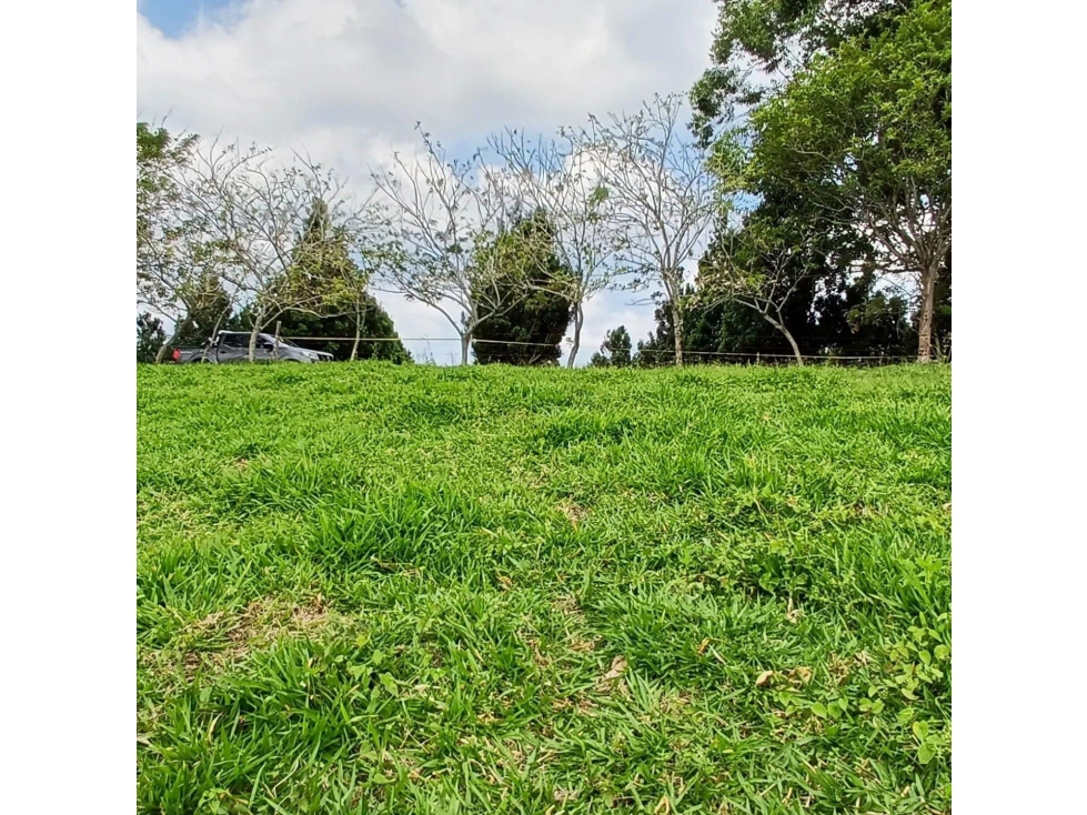 Se vende Lote S. Hojas Anchas Armenia Quindío — foto 3