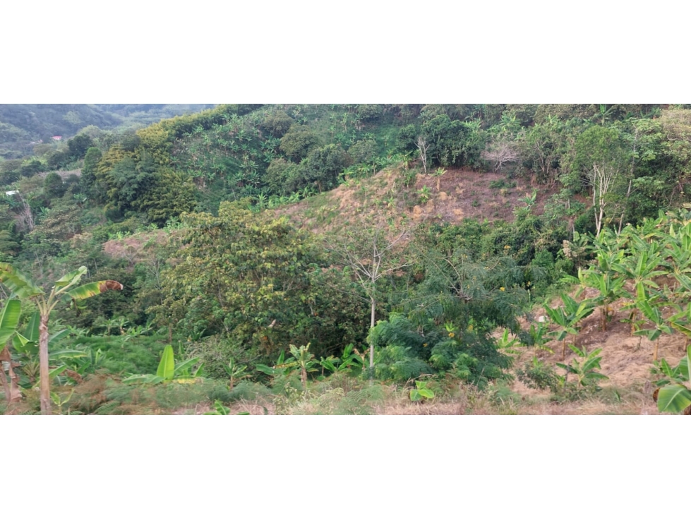 Se vende Finca Sardineros Córdoba — foto 4