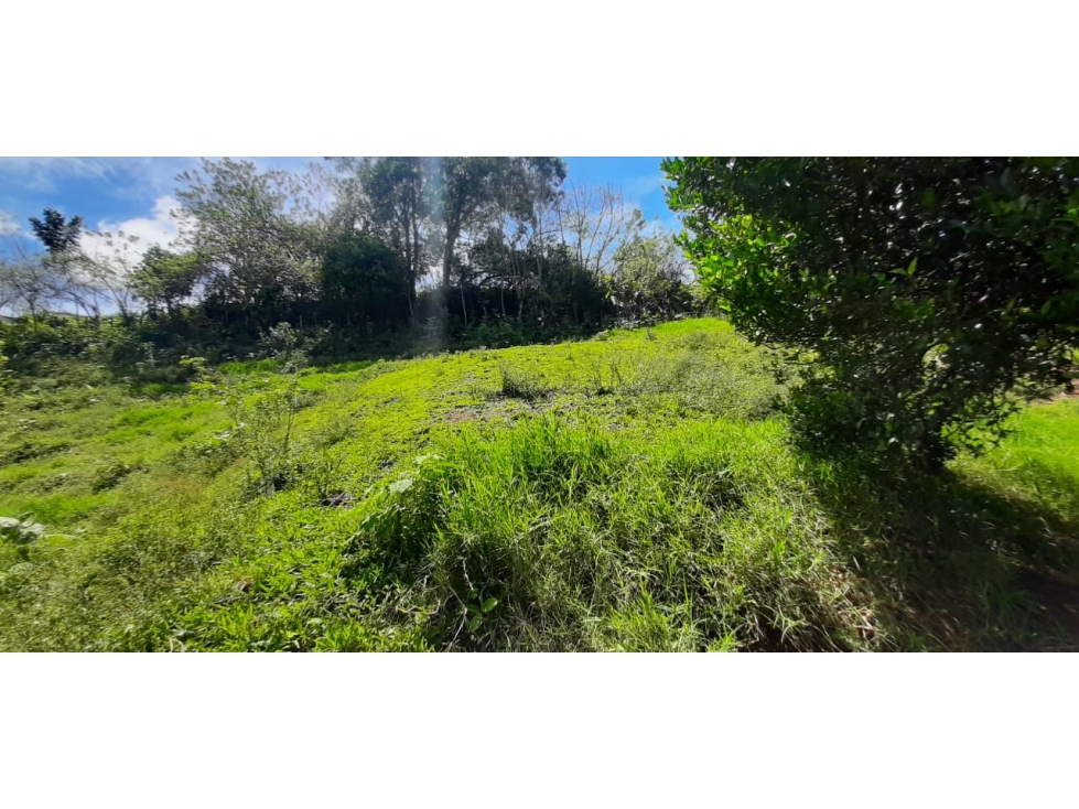 Se Vende Finca Ganadera Entre Barragan - Río Verde. — foto 3