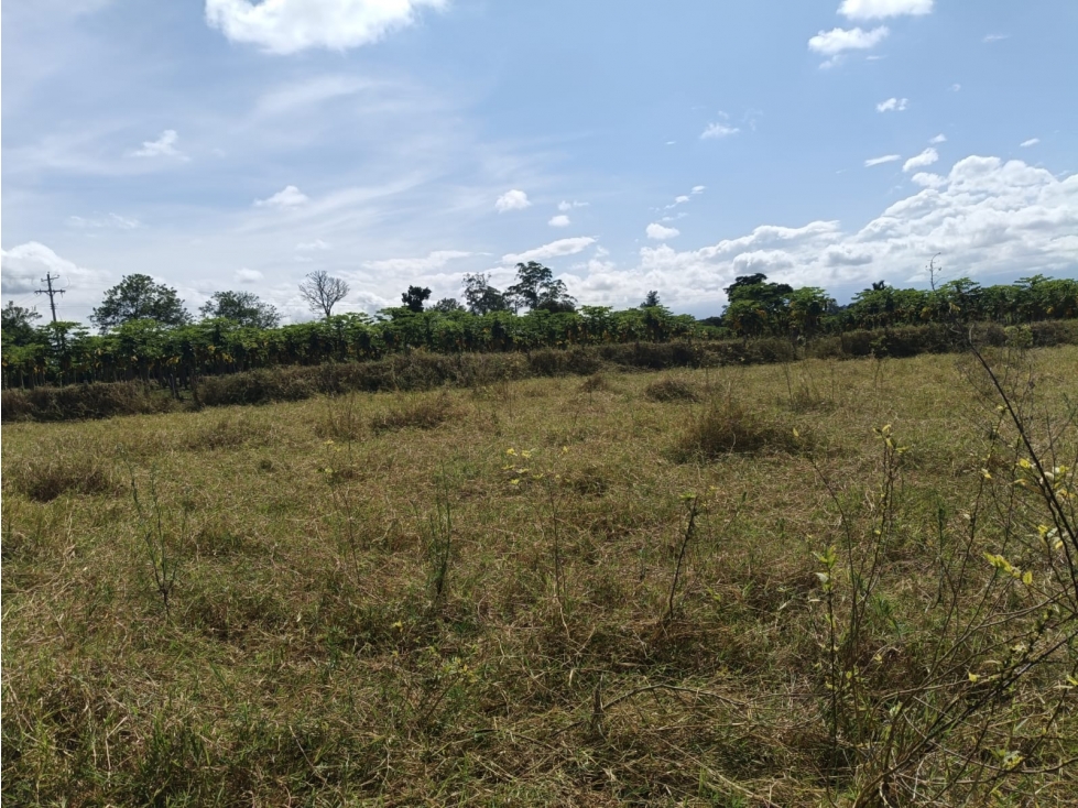 Se Vende Lote En Montenegro — foto 3