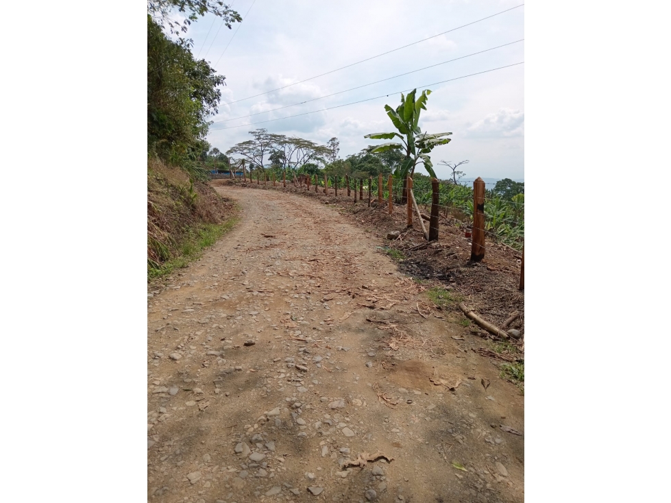Se Vende Finca En Sevilla - Valle Del Cauca - 3