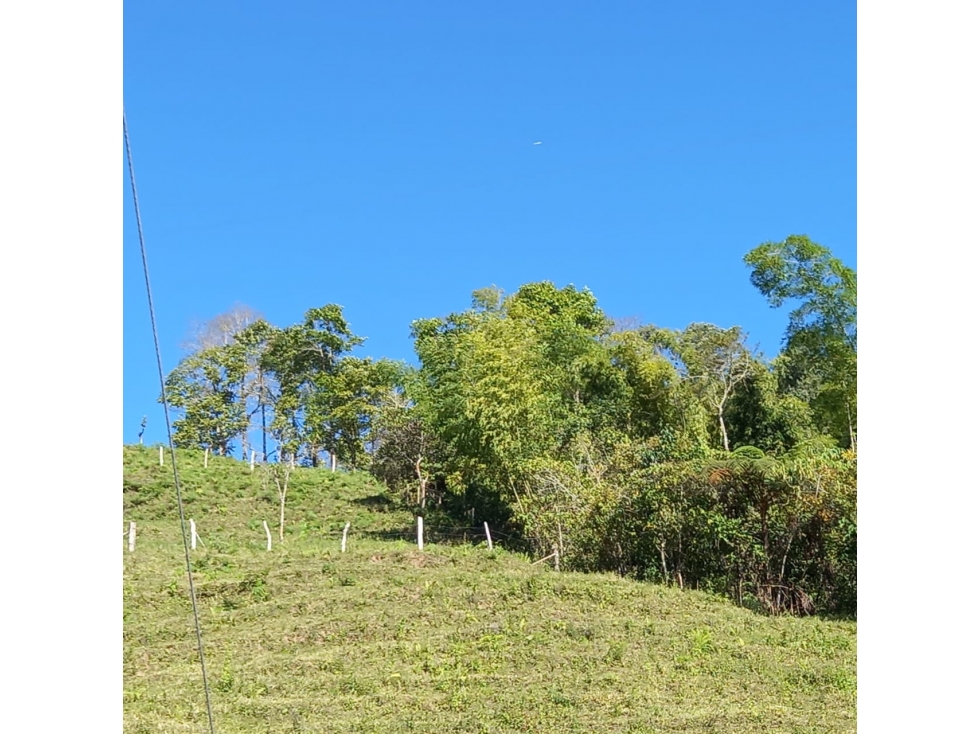 Se Vende Finca En Cordoba - Quindío - 2