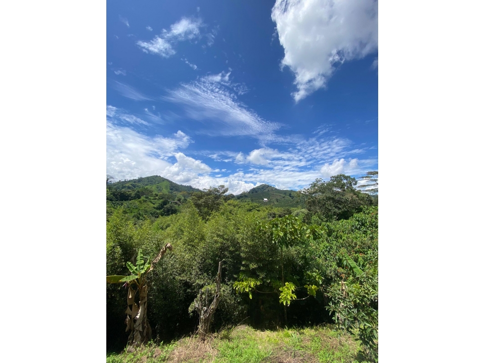 Se Venden Lotes En Santa Rosa De Cabal - Risaralda - 2
