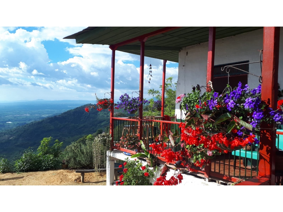 Se Vende Finca En Pijao - 3