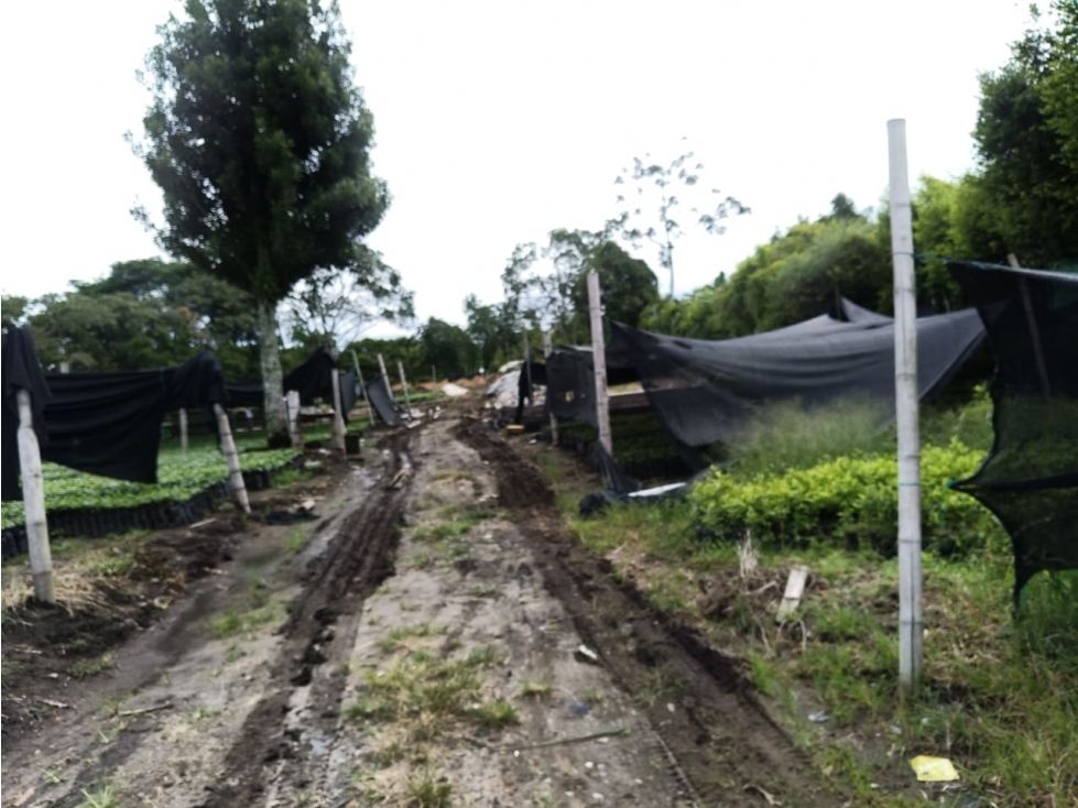 Se Vende Lote Via Armenia - Montenegro — foto 3