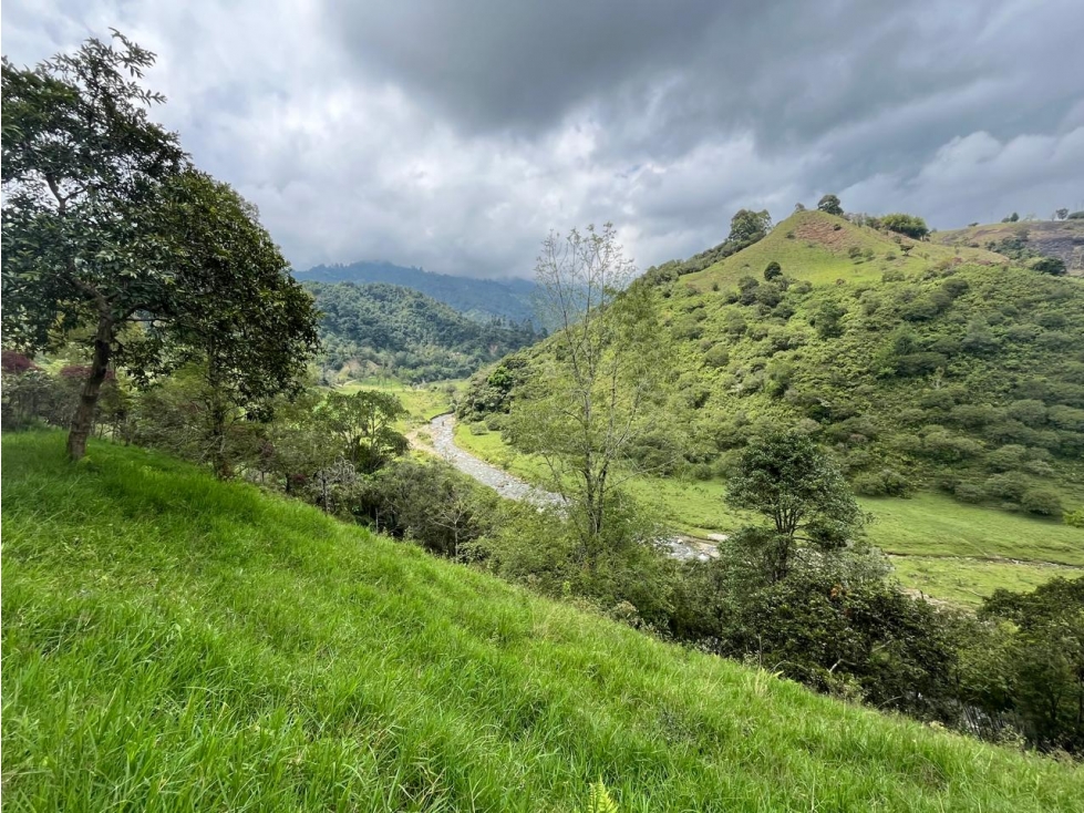 Se Vende Lote En Salento - Quindío - 1