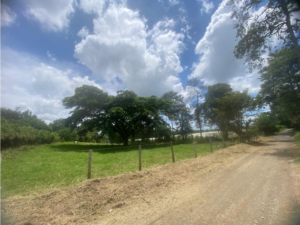 Se Vende Lote En Montenegro - Quindío — foto 2