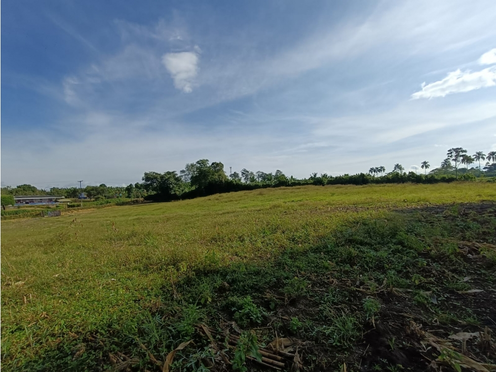 Se Vende Lote Vía Montenegro - La Tebaida - Quindío — foto 3