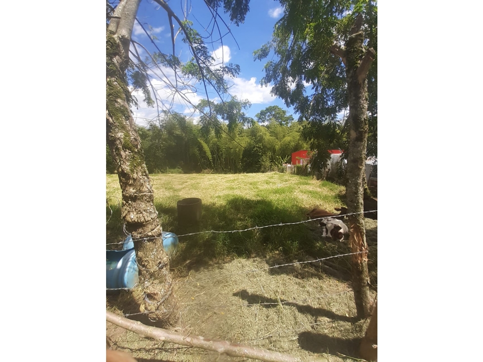 Se Vende Lote S. La Tebaida - Quindío - 3