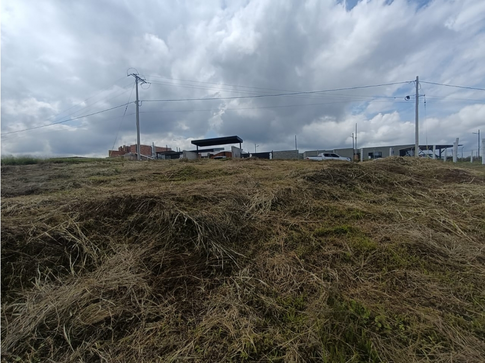 Se Vende Lote En Hojas Anchas - Armenia - Quindío — foto 3