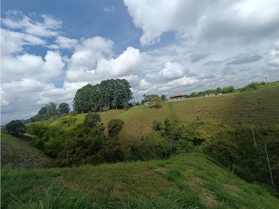 Se Vende Lote En Hojas Anchas - Armenia - Quindío — foto 3