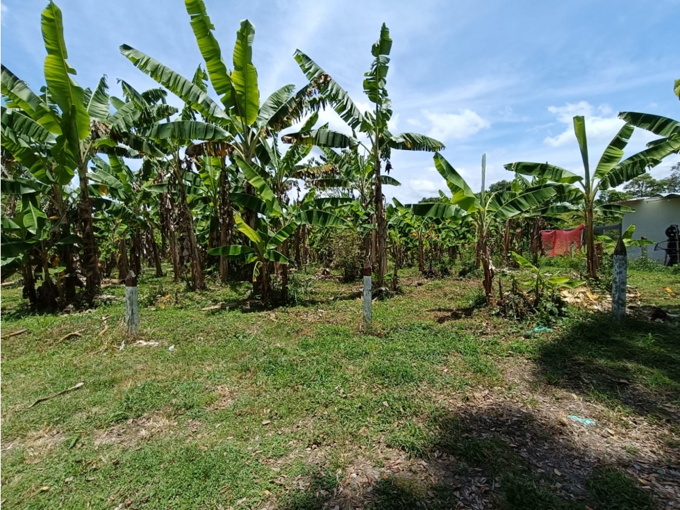Se Vende Lote En Montenegro - Quindío — foto 4