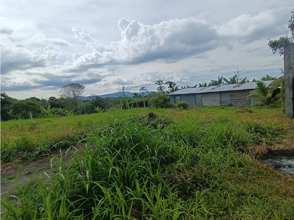 Se Vende Lote En Pueblo Tapao - Quindío — foto 3