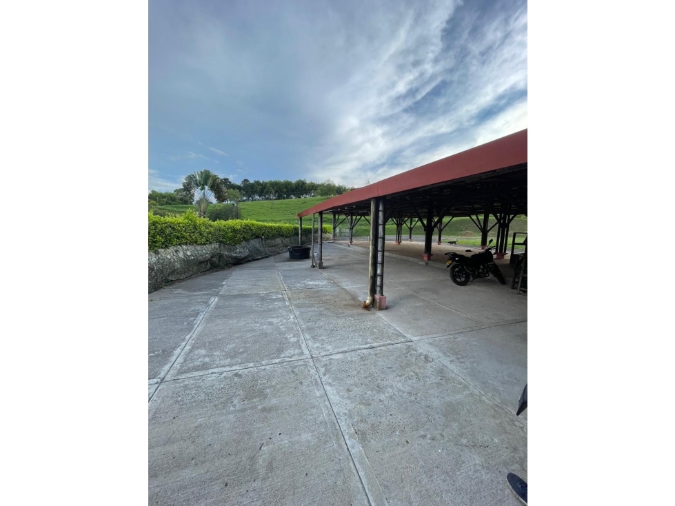 Se Vende Finca En Ulloa - Valle Del Cauca - 6