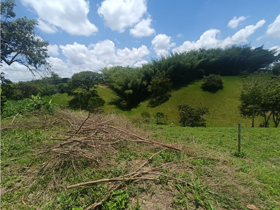 Se Vende Lote En Quimbaya - Quindío - 3