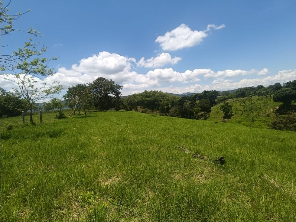 Se Vende Lote En Quimbaya - Quindío - 3