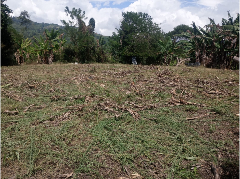 Se Vende Finca En la Celia - Risaralda - 3
