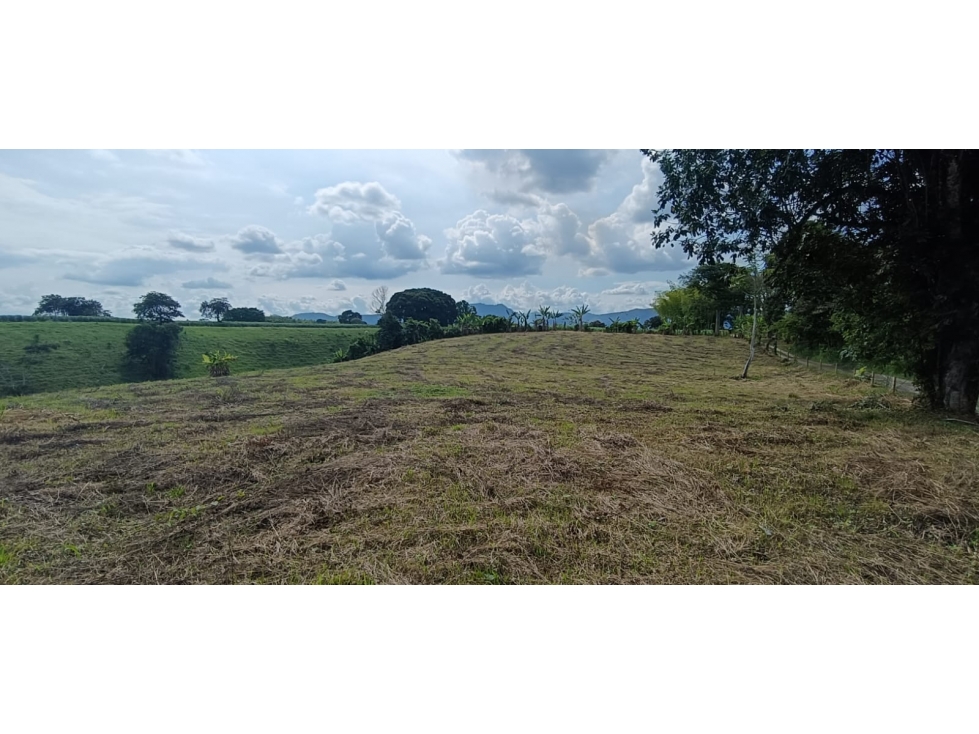 Se Vende Lote Vía Montenegro - Quimbaya - Quindío