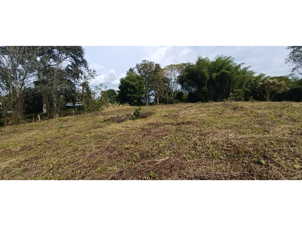 Se Vende Lote Vía Montenegro - Quimbaya - Quindío — foto 3