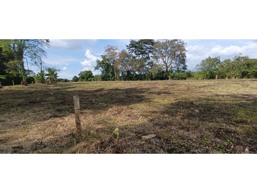 Se Vende Lote Vía Montenegro - Quimbaya - Quindío — foto 4