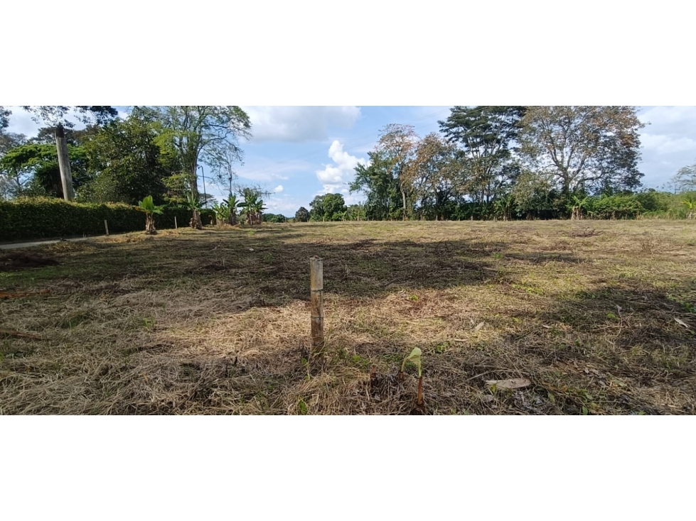 Se Vende Lote Vía Montenegro - Quimbaya - Quindío — foto 5