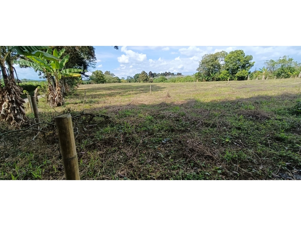 Se Vende Lote Vía Montenegro - Quimbaya - Quindío — foto 2