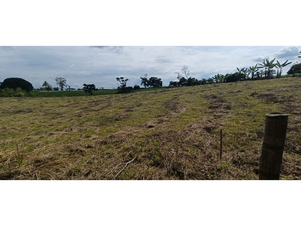 Se Vende Lote Vía Montenegro - Quimbaya - Quindío — foto 2