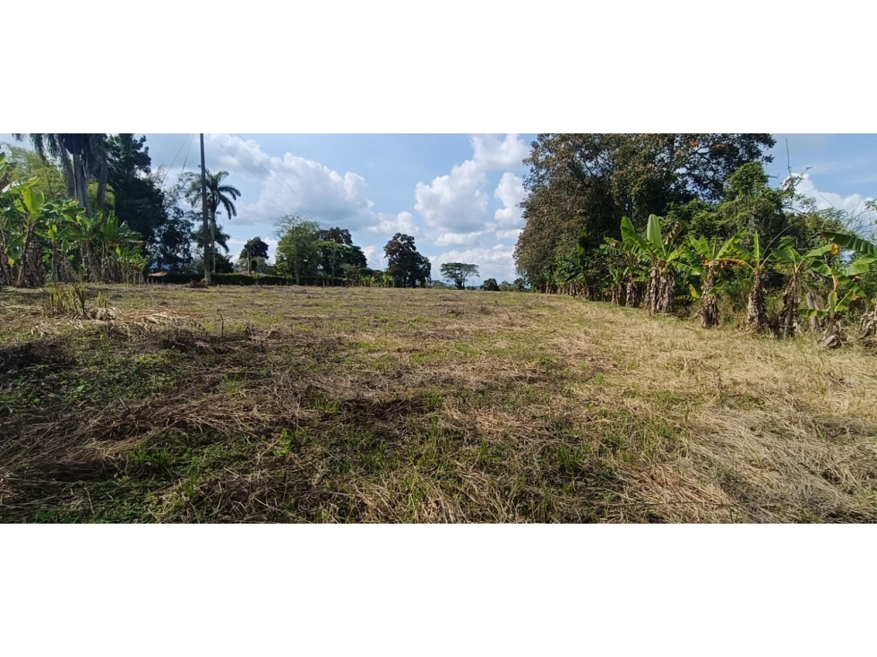 Se Vende Lote Vía Montenegro - Quimbaya - Quindío — foto 2