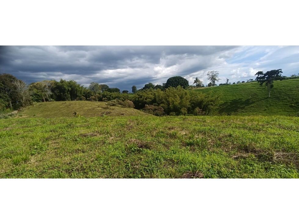 Se Vende Lote Vía Montenegro - Quimbaya - Quindío — foto 3