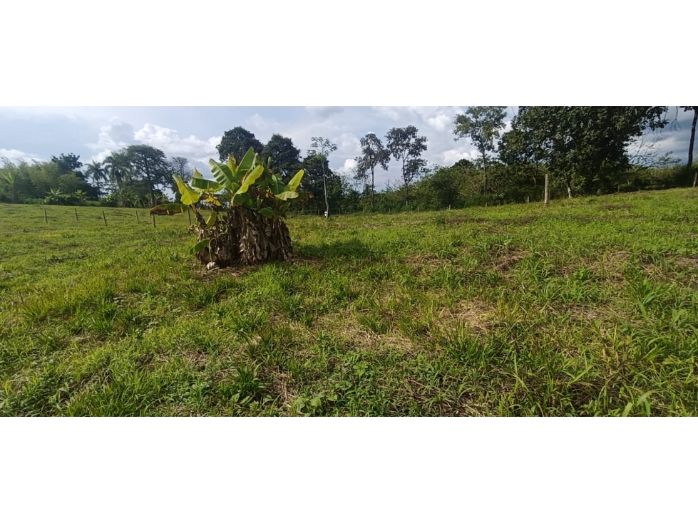 Se Vende Lote Vía Montenegro - Quimbaya - Quindío — foto 4