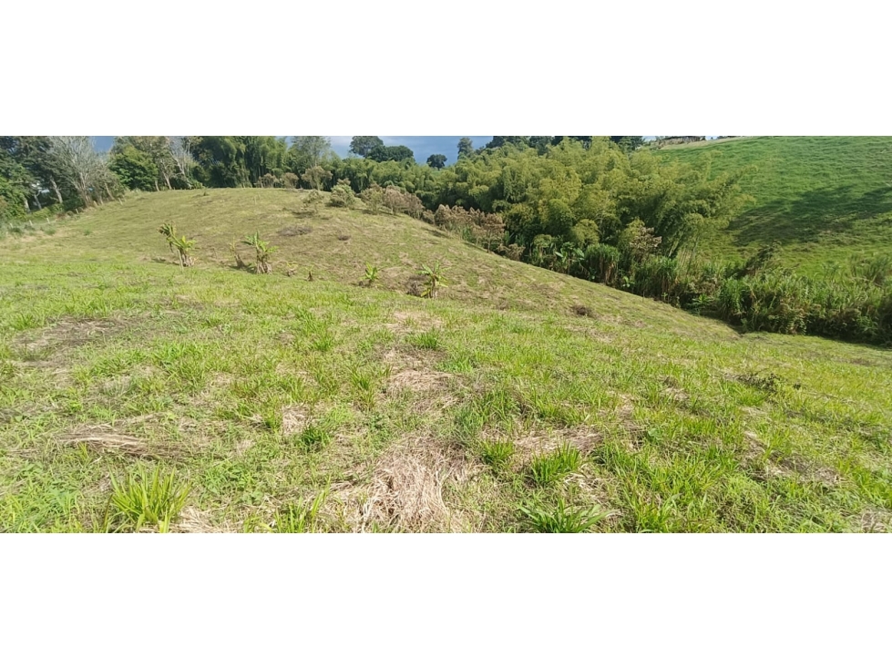Se Vende Lote Vía Montenegro - Quimbaya - Quindío — foto 3