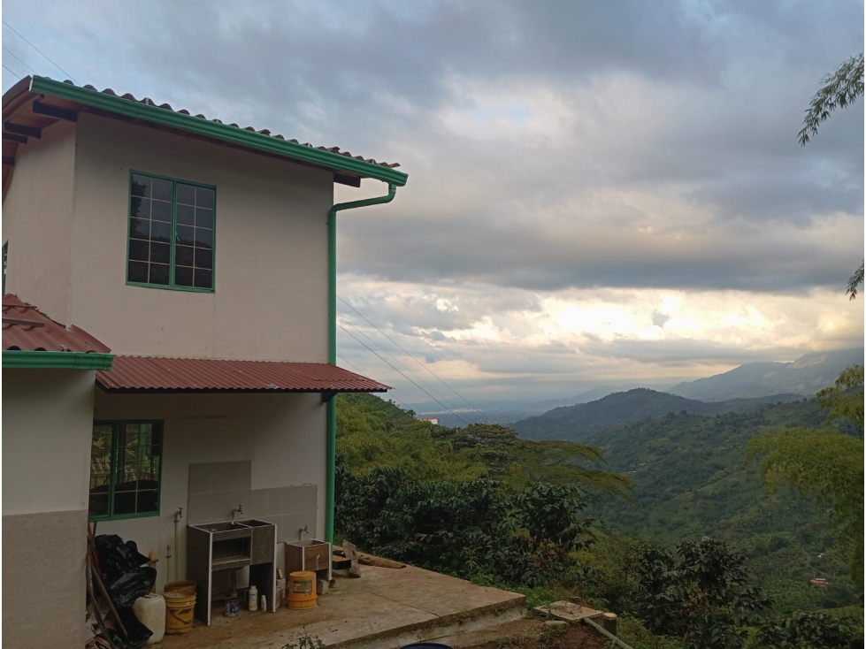 Se Vende Finca En Buenavista - Quindío - 2
