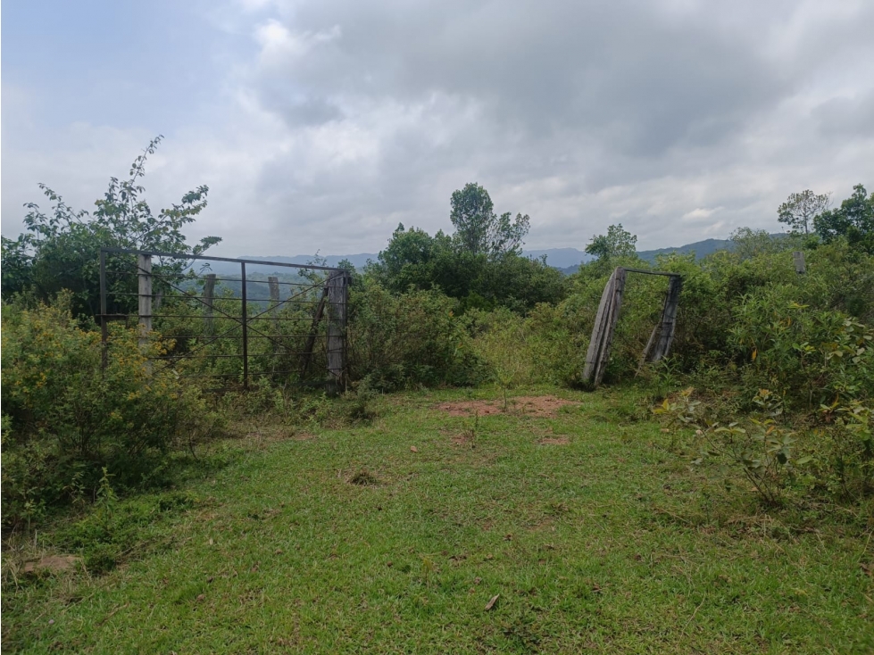 Se Vende Finca en San Luis - Ibague - 3