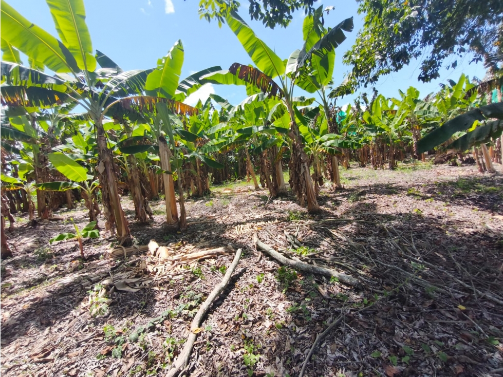 Se Vende Finca Ubicada en Armenia - Quindío. — foto 3
